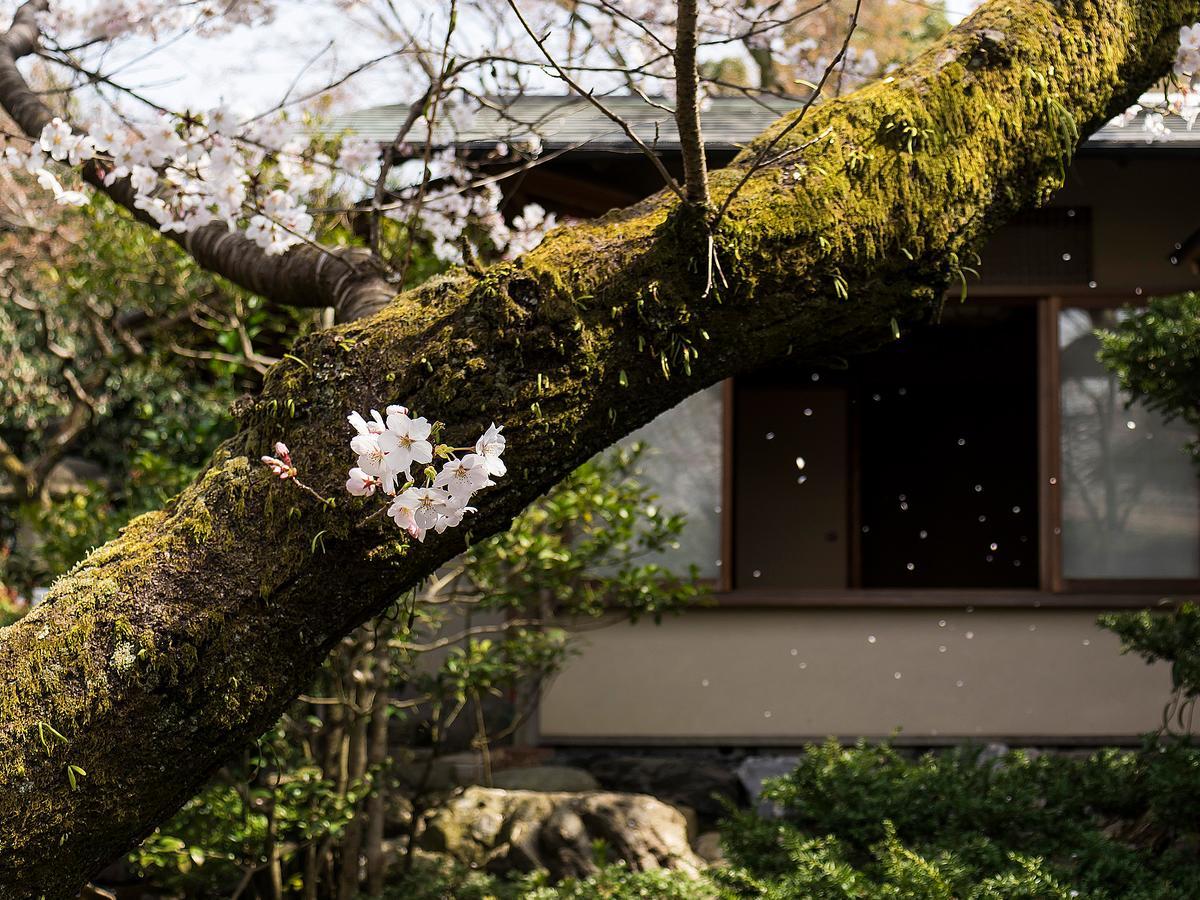 京都 南禅寺入口菊水传统日式旅馆酒店 外观 照片