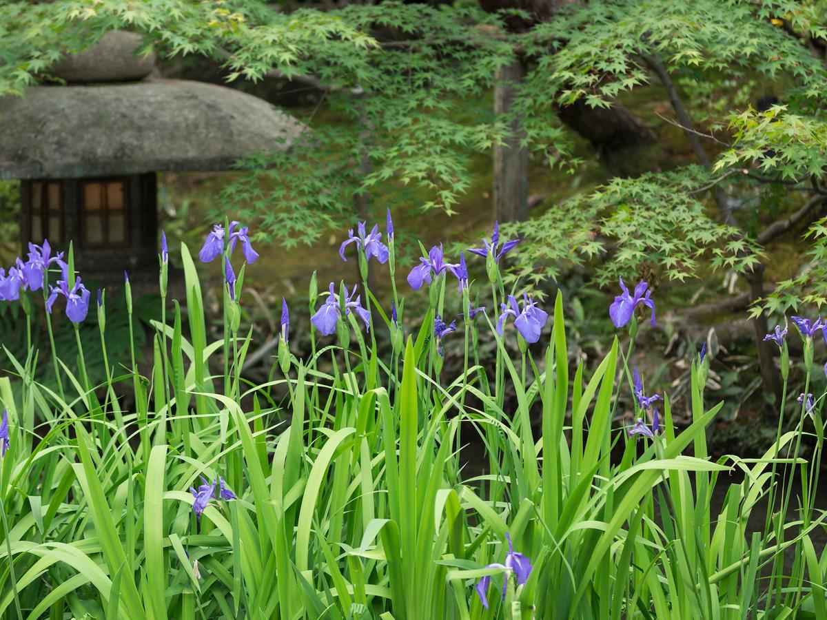 京都 南禅寺入口菊水传统日式旅馆酒店 外观 照片